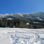 Skigebiet Königsberg, Hollenstein/Ybbs